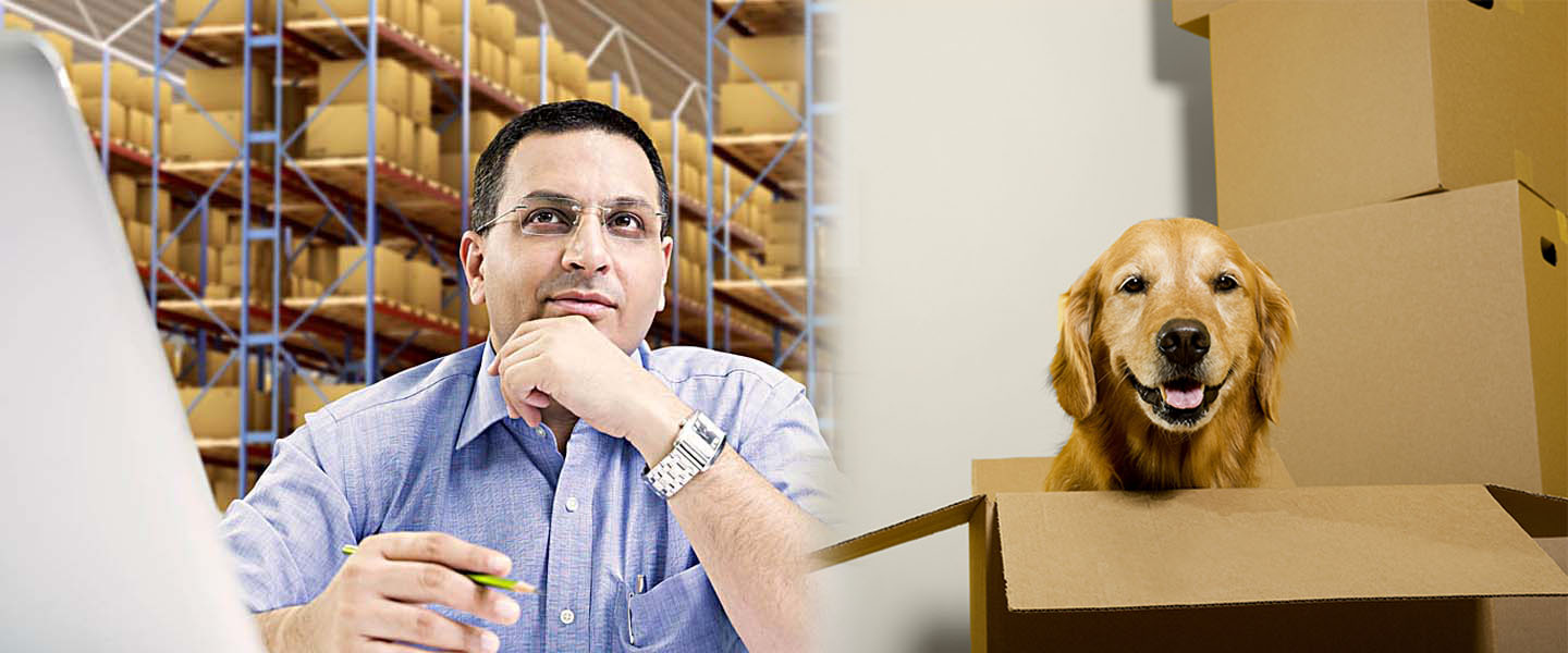 Safe Trans Cargo Packers and Movers